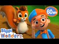 Blippi meets the Squirrel | Animals for Kids | Animal Cartoons |Funny Cartoons | Learn about Animals