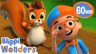 Blippi meets the Squirrel | Animals for Kids | Animal Cartoons |Funny Cartoons | Learn about Animals