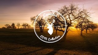 Will Sparks & Timmy Trumpet - Roma (Impulz Remix) [EDM Collection]