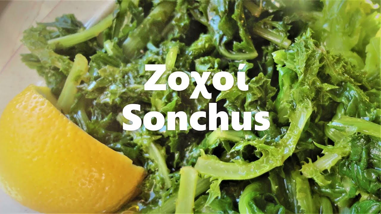 Sonchus sp / промывание дикорастущих сорняков / отваривание дикорастущих трав