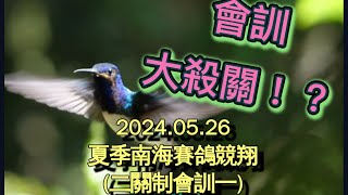 夏季南海競翔：高雄港出海120公里-20240526 Taiwan racing pigeons return home#鴿神使者#賽鴿#南海賽鴿#夏季賽鴿#南海夏季競翔​⁠​⁠@csk7030