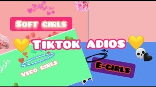 Soft girls/ E-GIRL/ Vsco girl (BEST TIKTOK ADIOS) screenshot 5