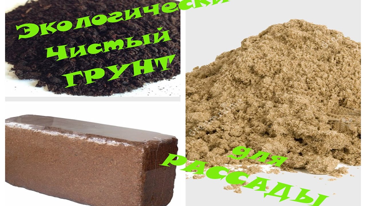 Кокосовый субстрат для РАССАДЫ. Улучшение субстрата - YouTube