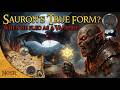 Iron and Shadow: The Untold Legend of Middle-earth’s Winged Terror
