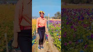 Tu Ho Koi Phul To Chura Lo shorts love