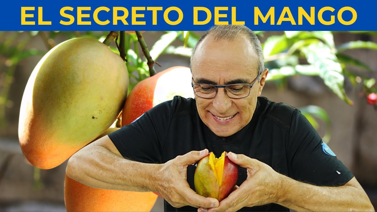 PARTE 1 ¡Adiós Diabetes! La Mejor Fruta que debes Comer si tienes la Glucosa Alta 🍎🩸