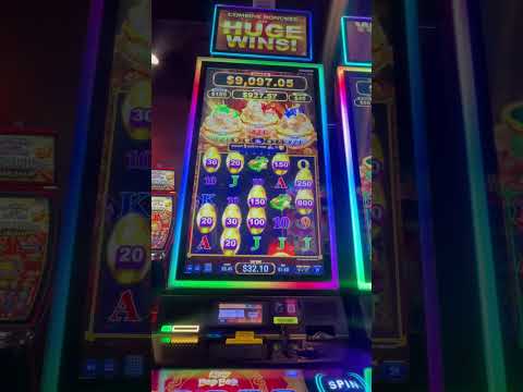 Betcris lanza casino en línea en Panamá tras aprobación de licencia