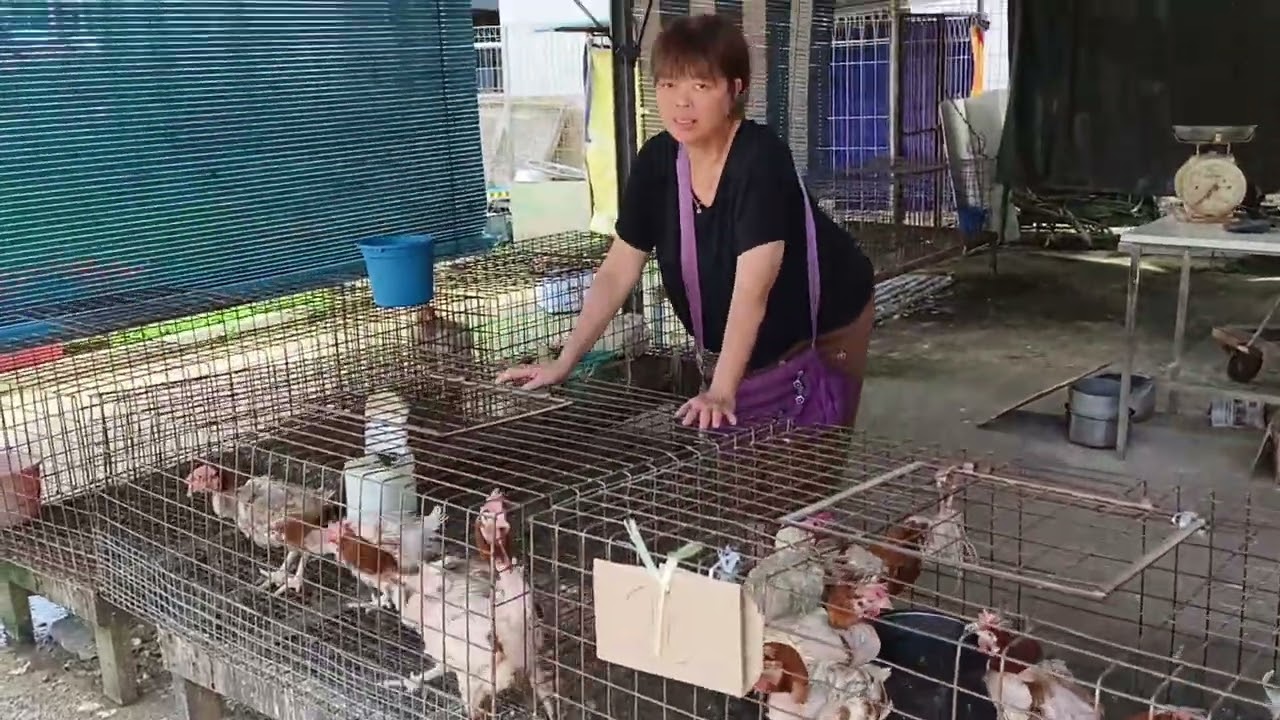 4K || Trip balik kampung di sungai Poi, Kanowit || Capuh Bala || Sampai saja terus BBQ