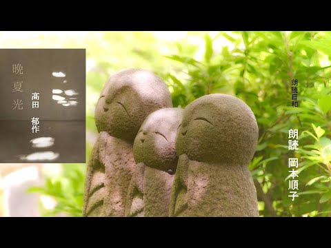 朗読日和　「晩夏光」髙田 郁作　朗読　岡本順子