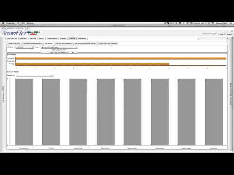 SmartFlo Workflow Status Report