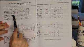 Tutorial Salmo 102: 1-4, 8 y 10, 12-13. VII Domingo del Tiempo Ordinario Año A