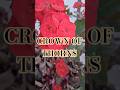 Crown of Thorns (Euphorbia milii) – Care & Growing Guide🌸🌿✨️