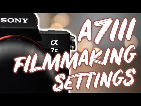 Best A7Iii A7Riii Filmmaking Broll Cinematic Video Settings