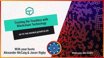 Trusting the Trustless with Blockchain Technology