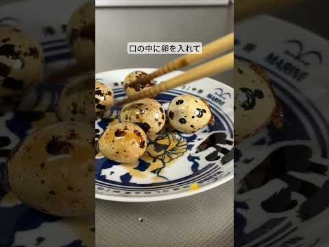 うずらの卵を殻ごと食べてみた結果がヤバい！