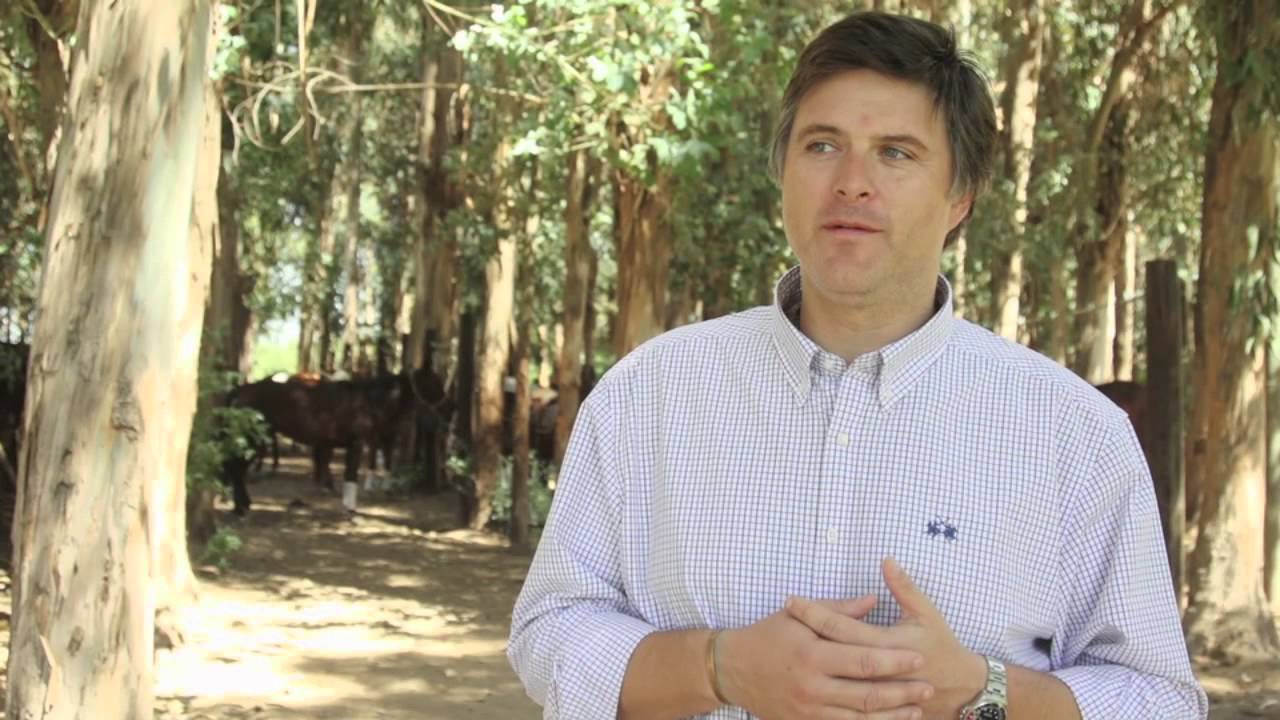 Polo at Vina Casa Silva