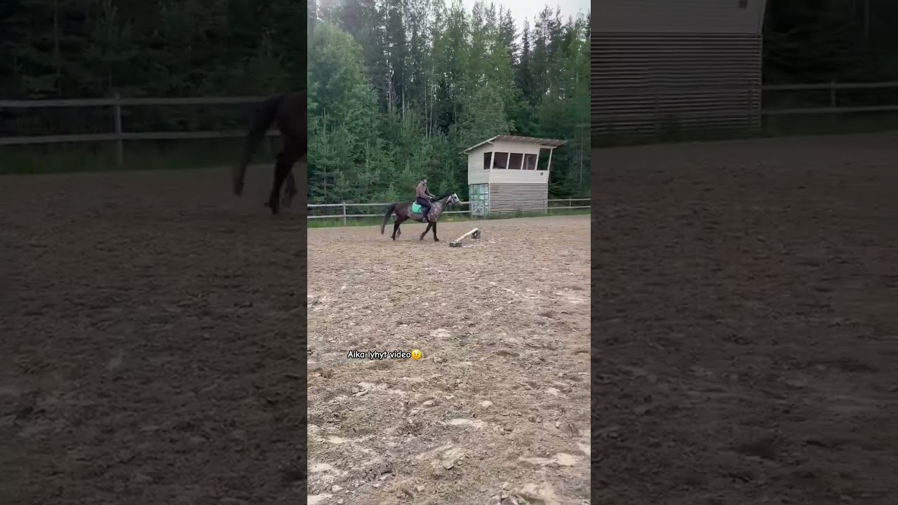 Tänää piiitkästä aikaa koulutunnille, ois kiva jatkaa Jakella😙 Voitte arvailla ratsua🫶🏻