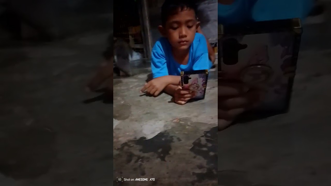 kucing kecil ni boss 