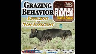 Ep 184:  Grazing Behavior of Efficient vs Non-Efficient Cattle on Rangeland