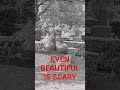 EVEN BEAUTIFUL IS SCARY @BREXTON #CEMETERY #SCARY #CREEPY