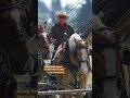 Hay ‘n’ Horsepower 🐴