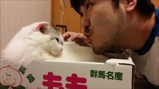 『セクシャルハラスメントおじさん』