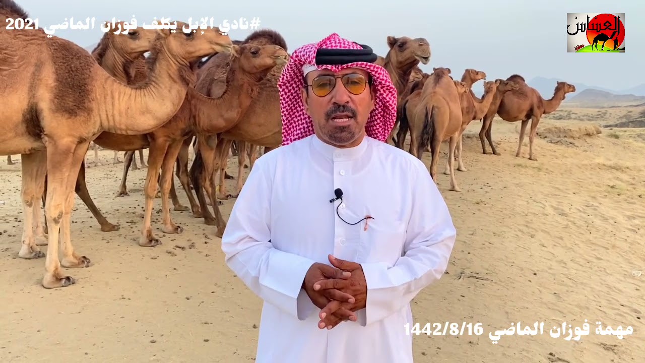 الحلقة الثانيه من جولتنا مع عضو نادي الإبل على ملاك السواحل ولاوراك والعوادي في جازان ومكه 1442/8/16