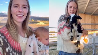 Slow Days, Big Dreams on the Farm 🐑