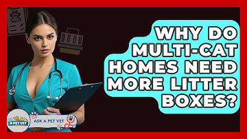 Why Do Multi-cat Homes Need More Litter Boxes? - Ask A Pet Vet