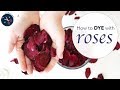 Roses dye yarn or fabric pink / mauve | natural dye tutorial | Last Minute Laura