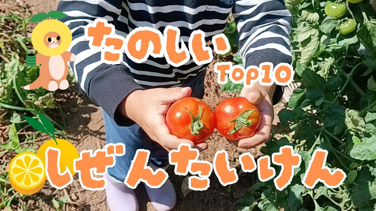 【祝！自然体験×たのしい動画Top10！ 】～魚釣り、キノコ採り、虫取り他～