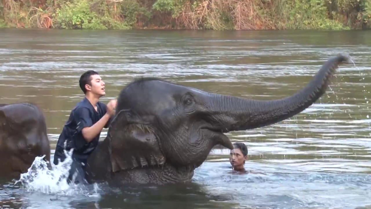 ตะลุยกองถ่าย | รักกันพัลวัน (นายโดนช้างแกล้ง) | 01-12-60