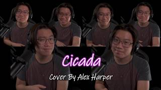 Cicada - Cover by Alex Harper