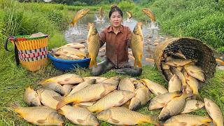 Discovering a Massive Carp School in an Abandoned Pond - Huge Catch with a Traditional Fish Trap!