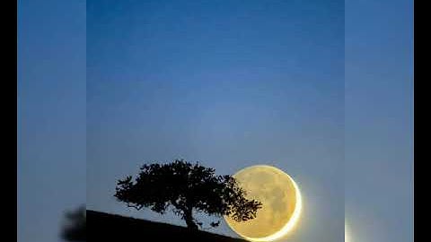 قراءة مميزة لسورة الفاتحة والإخلاص والمعوذتين للقارئ الشيخ عمار العولي