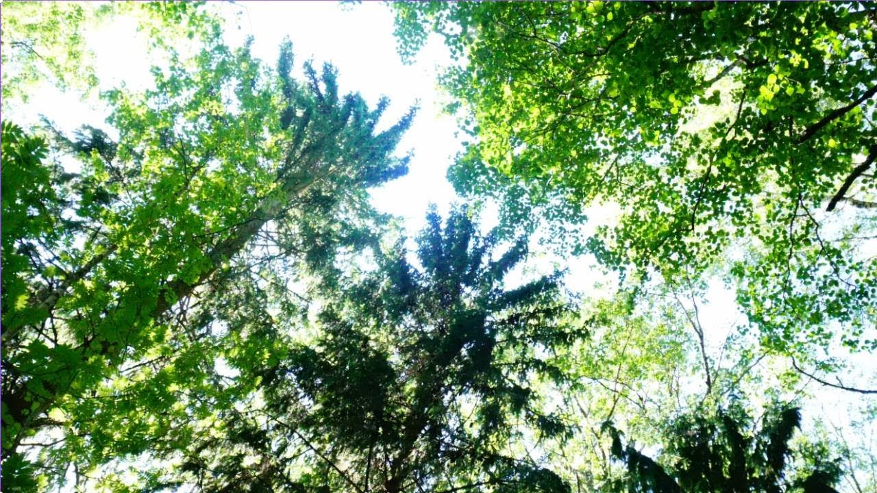 Danny Castee - Virheet on virheitä (Musiikkivideo)