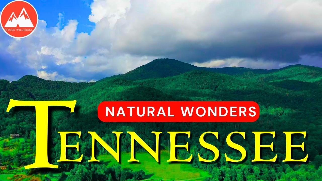 Natural Wonders of Tennessee | The Most Amazing Places in Tennessee - PART 1  |  Travel Video 4K