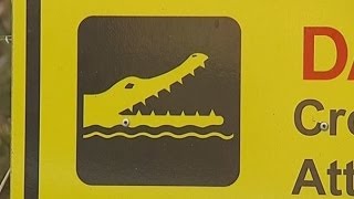Human remains found in crocodile in Australia
