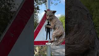 Wolf Warning Signs Save Lives