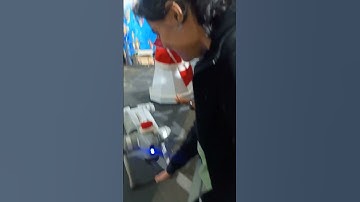 Robot dog being friendly #robotics