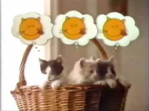 happy cat cat food ad from 1982 youtube
