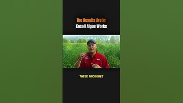 What is Ensoil Algae?