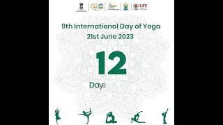 12 days countdown to #IDY2023