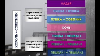 Эндшпиль китайских шахмат - №3 - Против короля и советника