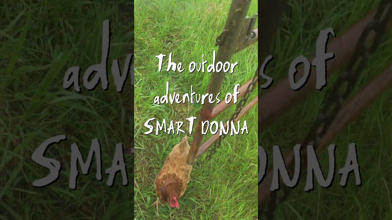 #chicken minute with Smart Donna