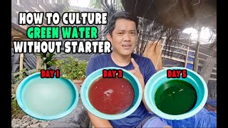 How To Culture Green Water Without Starter