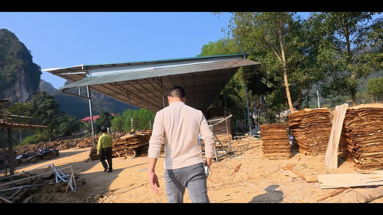 Nghiệm Thu Cây Phân Tán Bãi Ven Sông Sau Bão Matmo | Lâm Nghiệp Và Kiểm Lâm