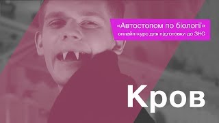 картинка: Кров – Підготовка до ЗНО – Біологія