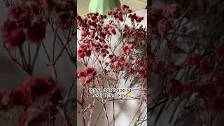 Tips Bunga Kering Berjamur  driedflower diycrafts handmade diyideas flowers