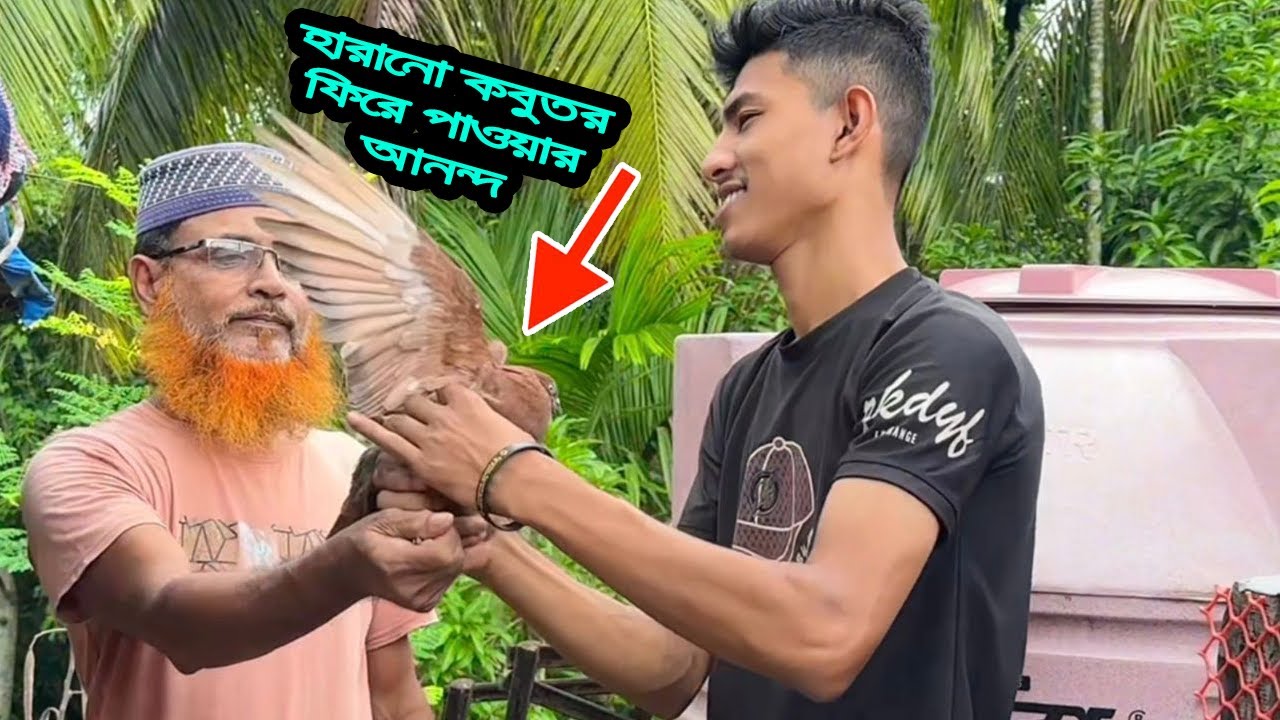 হারানো কবুতরের মালিক চলে আসছে খামারে💝
